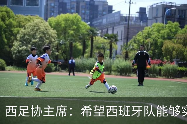 西足协主席：希望西班牙队能够实现夺冠的目标，但必须一步一步来